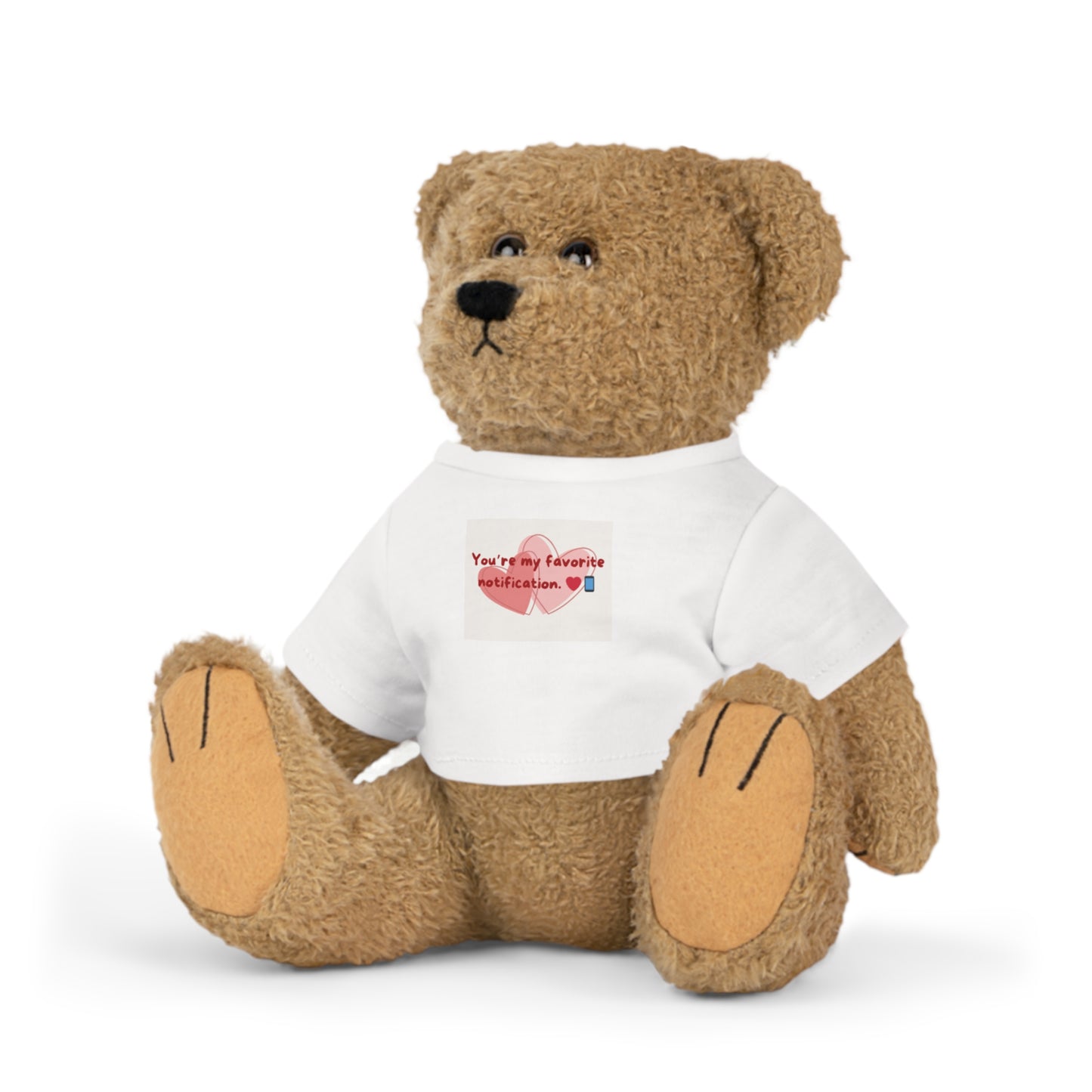 Plush Toy with T-Shirt